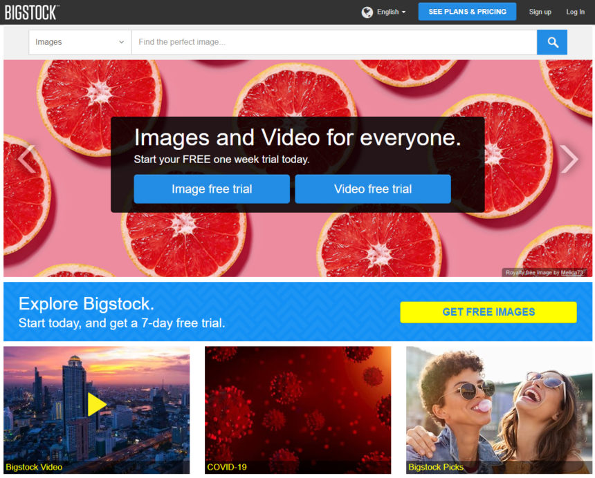 Bigstock Screenshot