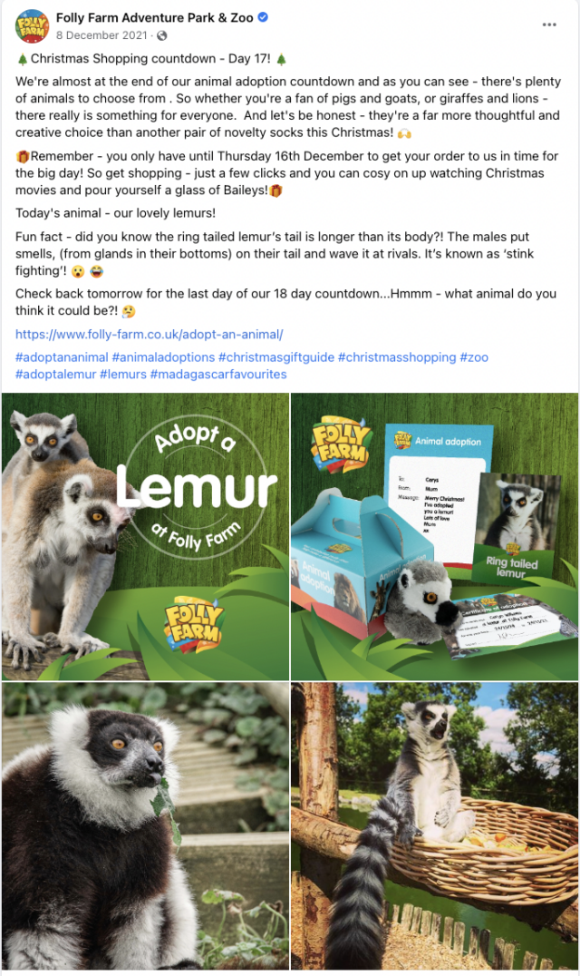 Folly Farm Fb Screenshot