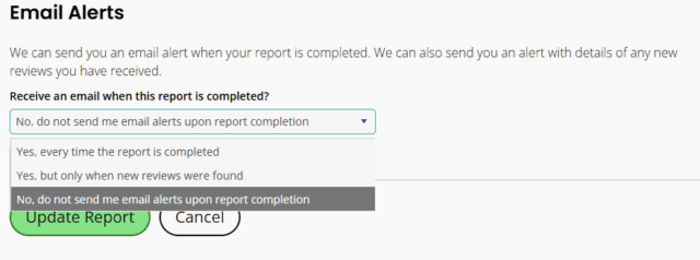 Monitor Online Reviews Alerts 2